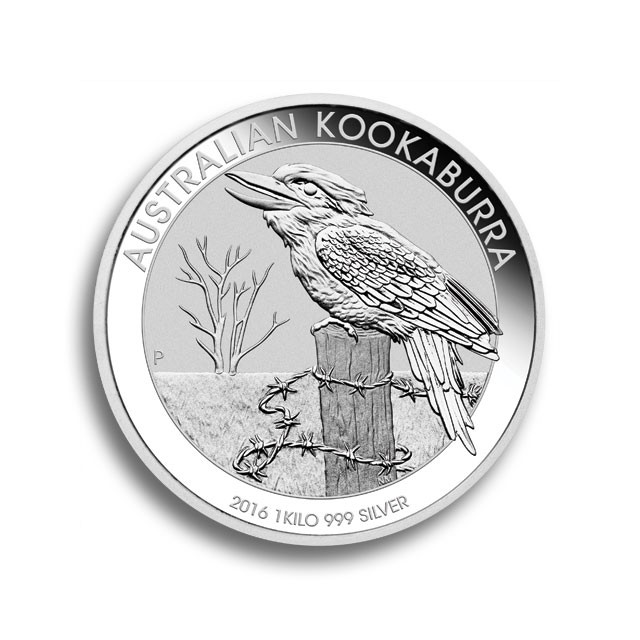 Kookaburra