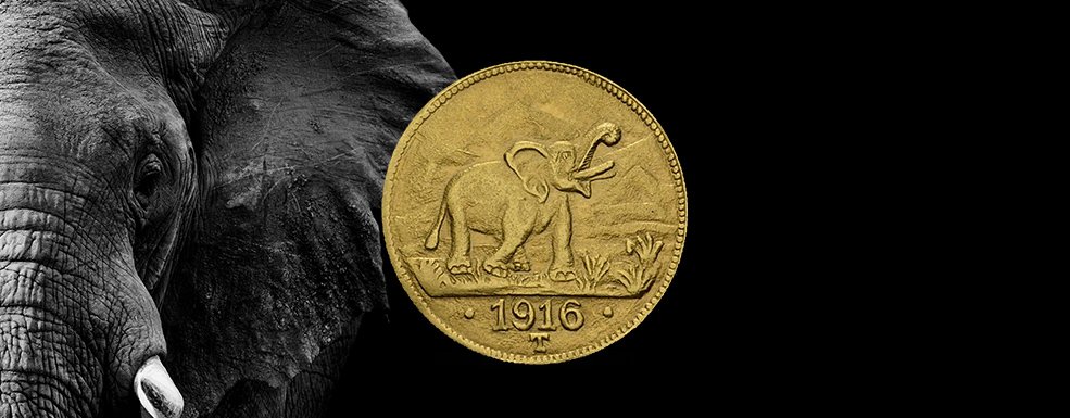 Kolonial-Notgeld aus Gold: Ein Elefant fasziniert Sammler und Anleger