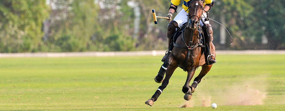 Degussa nimmt am Poloturnier Frankfurt Gold Cup 2018 teil