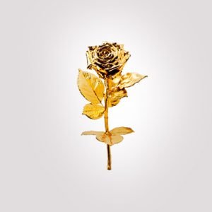 degussa golf rose