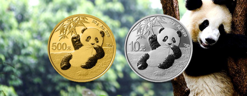 Gold und Silber aus China: Ein kleiner Panda wird flügge