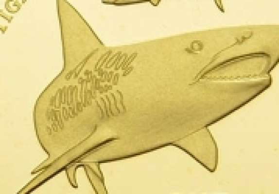 1 Pound Tiger Shark Goldmünze