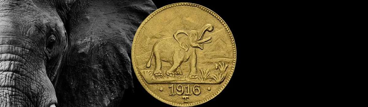 Kolonial-Notgeld aus Gold: Ein Elefant fasziniert Sammler und Anleger
