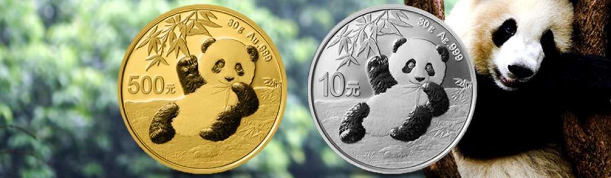 Gold und Silber aus China: Ein kleiner Panda wird flügge
