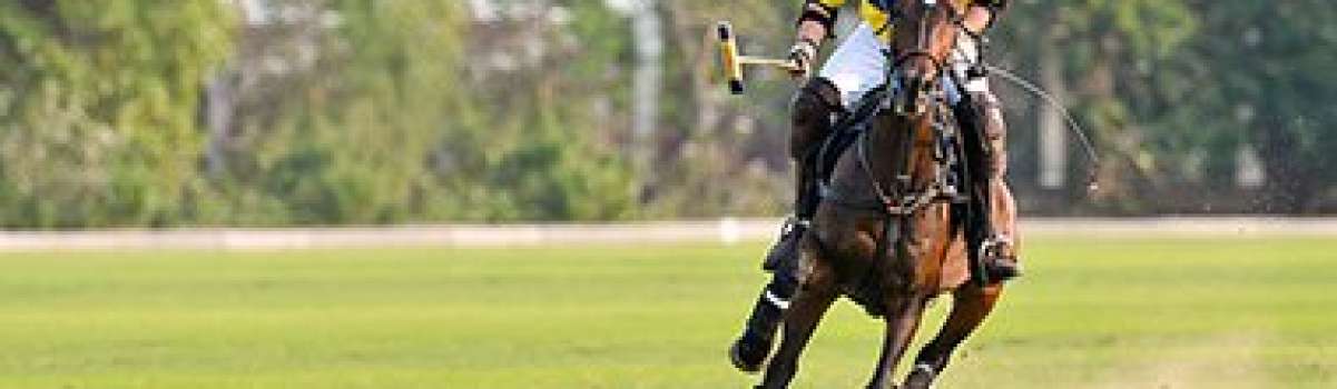 Degussa nimmt am Poloturnier Frankfurt Gold Cup 2018 teil