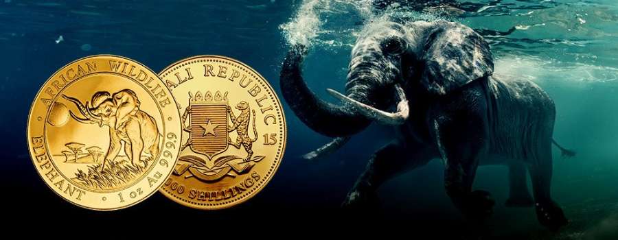 Somalia Elephant: Eine afrikanische Legende aus Hamburg. Somalia Elephant: Eine afrikanische Legende aus Hamburg.