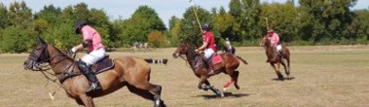 Impressionen vom Frankfurt Gold Cup Poloturnier