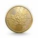 124110 1 oz maple leaf goldmuenze 50 dollars kanada 2023 1 wahl freisteller 1