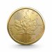 124110 1 oz maple leaf goldmuenze 50 dollars kanada 2023 1 wahl freisteller 1
