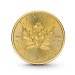 124110 1 oz maple leaf goldmuenze 50 dollars kanada 2024 1