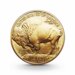 124011 1 oz american buffalo goldmuenze 50 dollar usa 2013 1 wahl freisteller 1